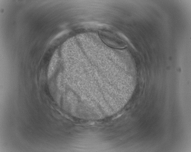 X0000082701063200702232224