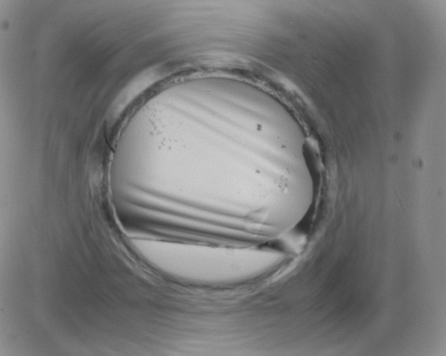 X0000082701065200702232224