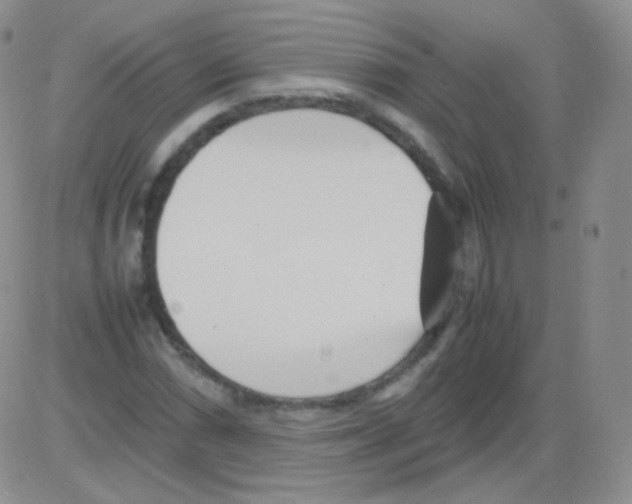 X0000082701066200702232224