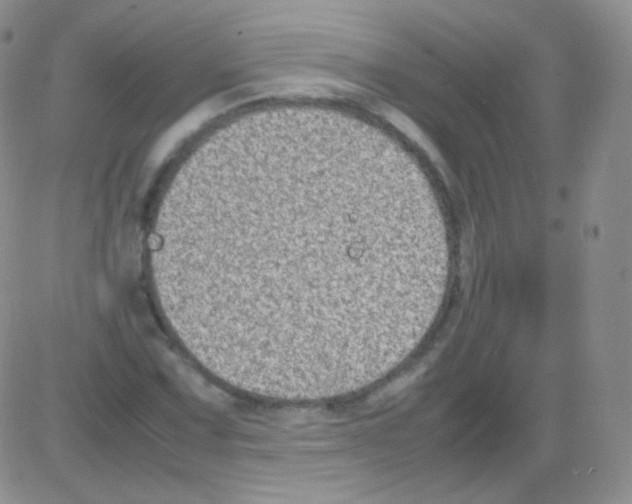 X0000082701067200702232224