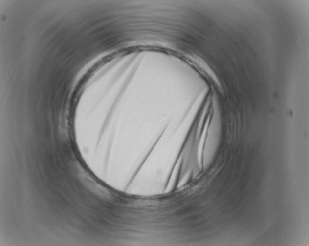 X0000082701068200702232224