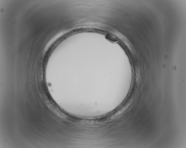 X0000082701069200702232224