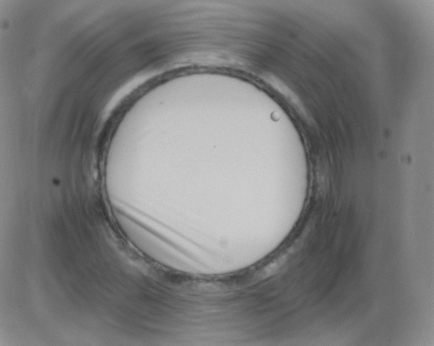 X0000082701070200702232224