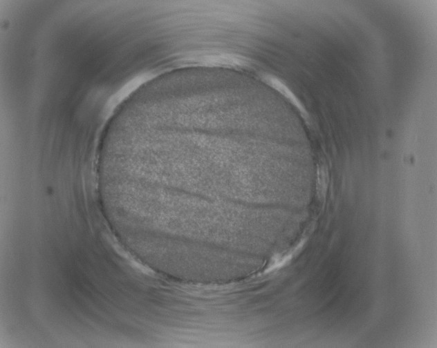 X0000082701071200702232224