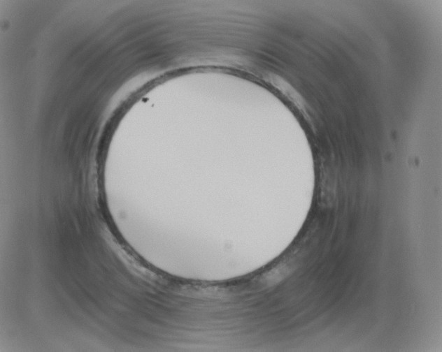 X0000082701072200702232224