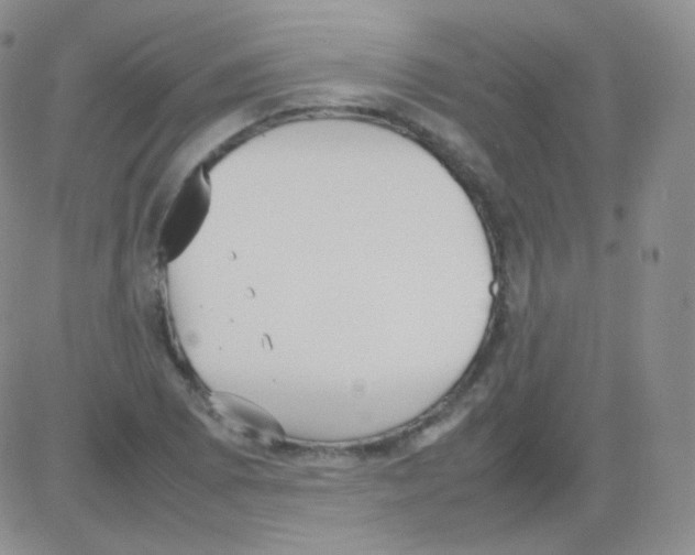 X0000082701073200702232224