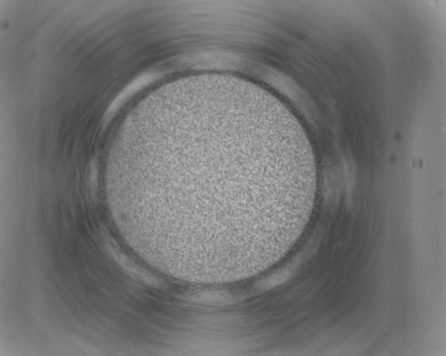 X0000082701074200702232224