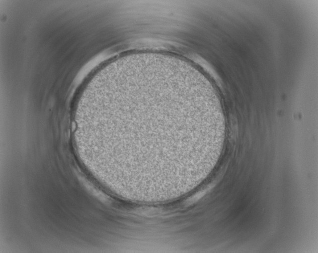 X0000082701075200702232224