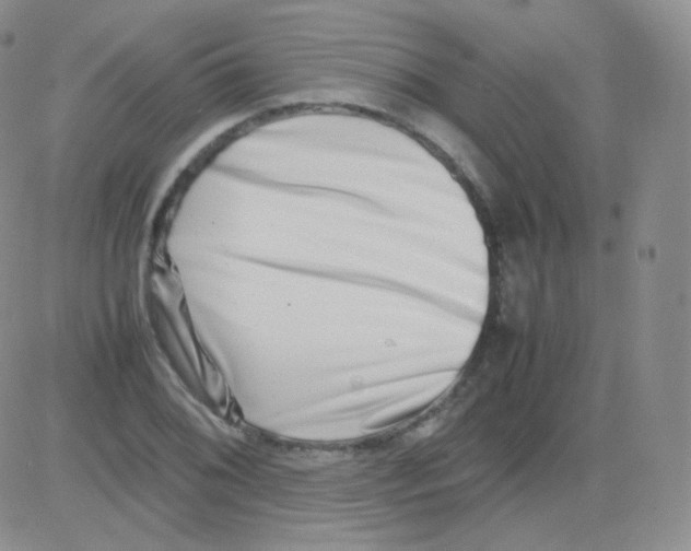 X0000082701076200702232224