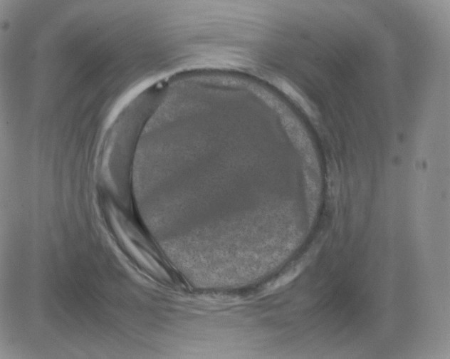 X0000082701077200702232224