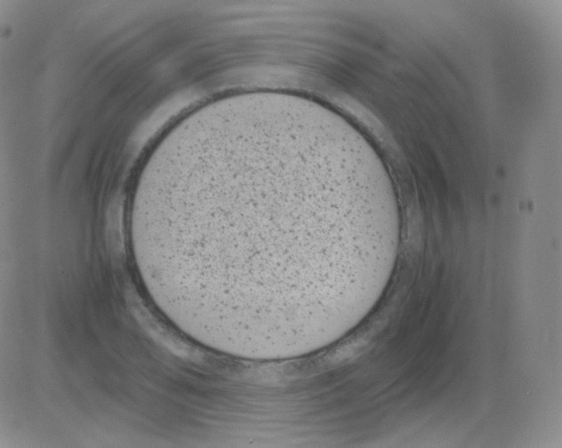 X0000082701078200702232224