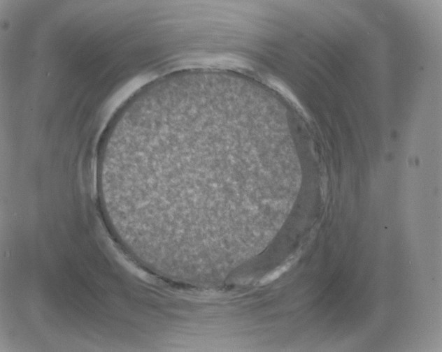 X0000082701079200702232224