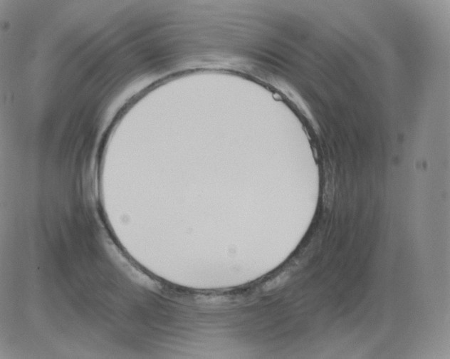 X0000082701080200702232224