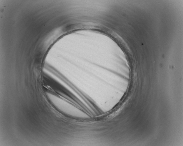 X0000082701081200702232224