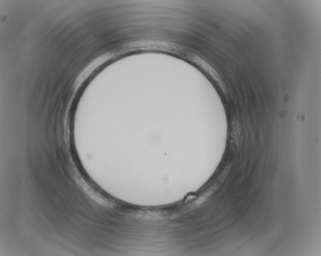 X0000082701082200702232224