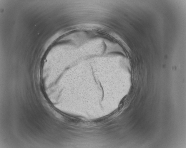 X0000082701083200702232224