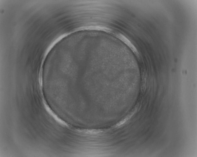 X0000082701084200702232224