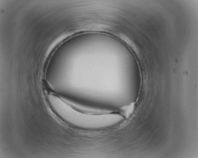 X0000082701085200702232224