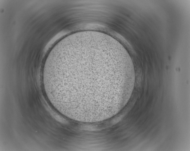 X0000082701086200702232224