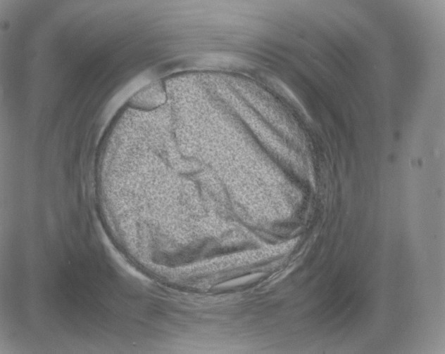 X0000082701087200702232224