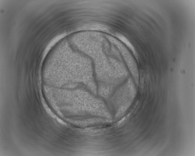 X0000082701088200702232224