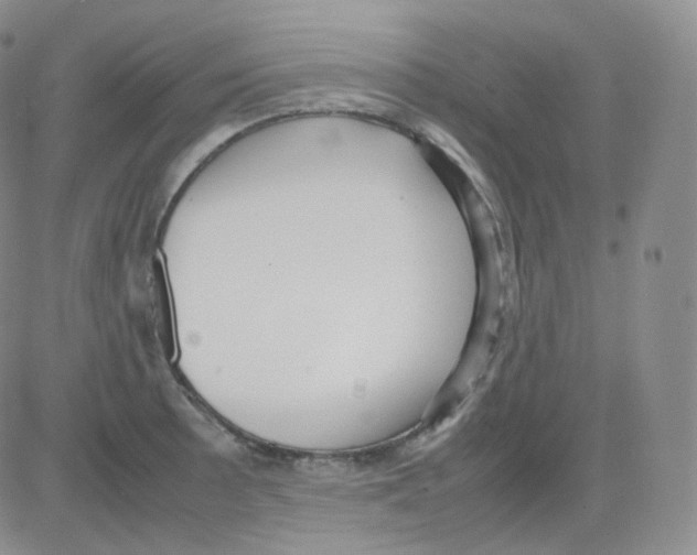 X0000082701089200702232224