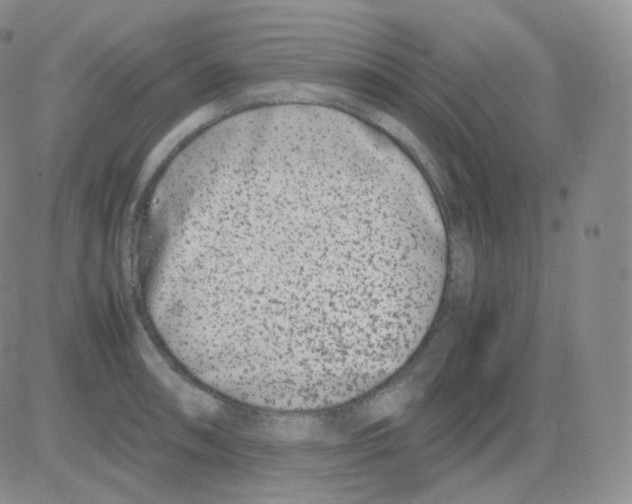 X0000082701090200702232224