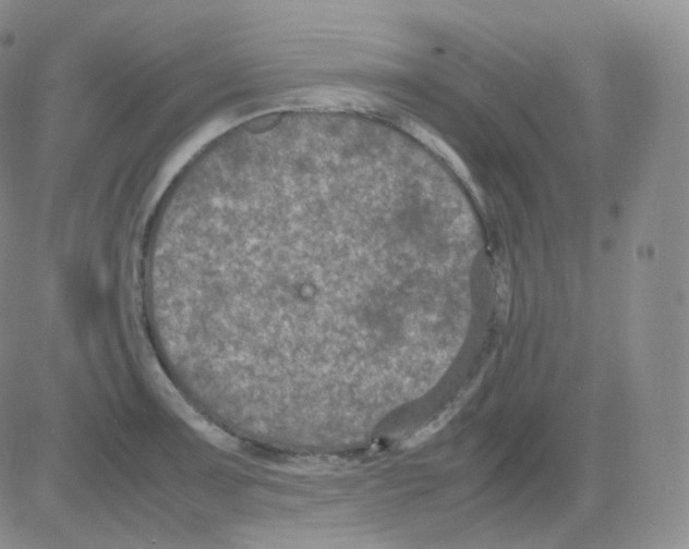 X0000082701091200702232224