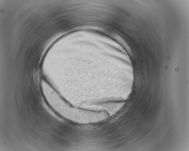 X0000082701092200702232224