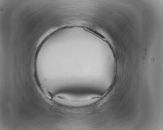 X0000082701093200702232224