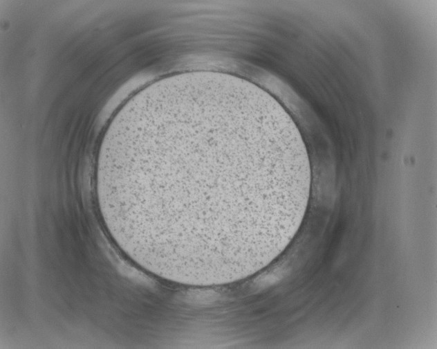 X0000082701094200702232224