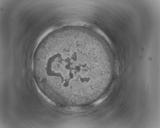 X0000082701095200702232224