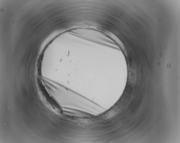 X0000082701096200702232224