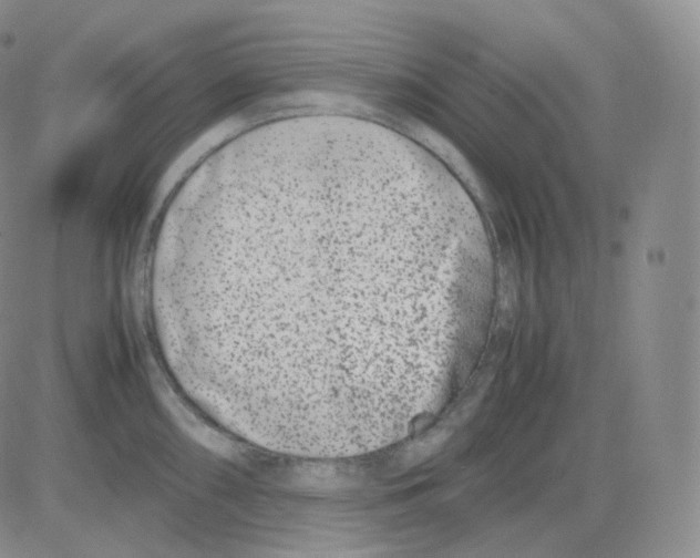 X0000082701098200702232224