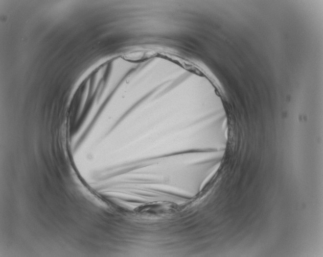 X0000082701100200702232224