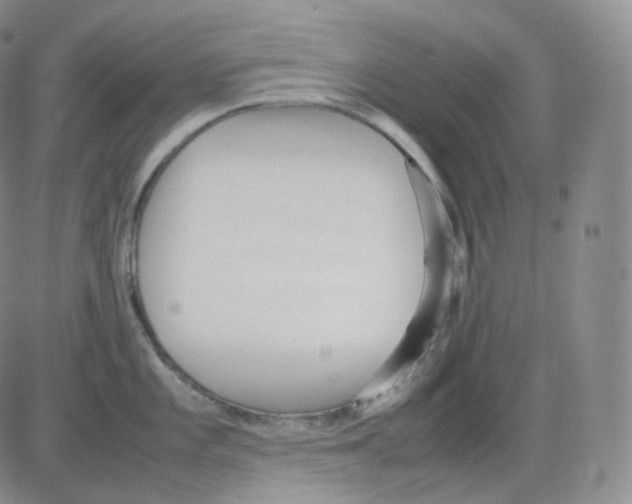 X0000082701101200702232224