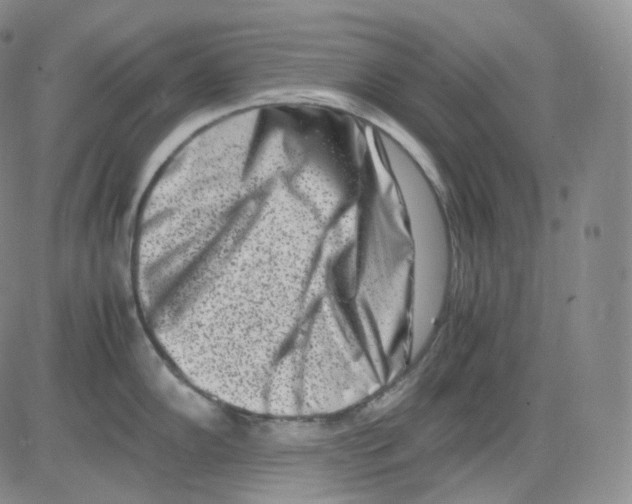 X0000082701102200702232224