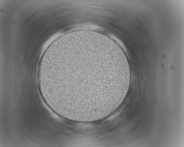 X0000082701103200702232224