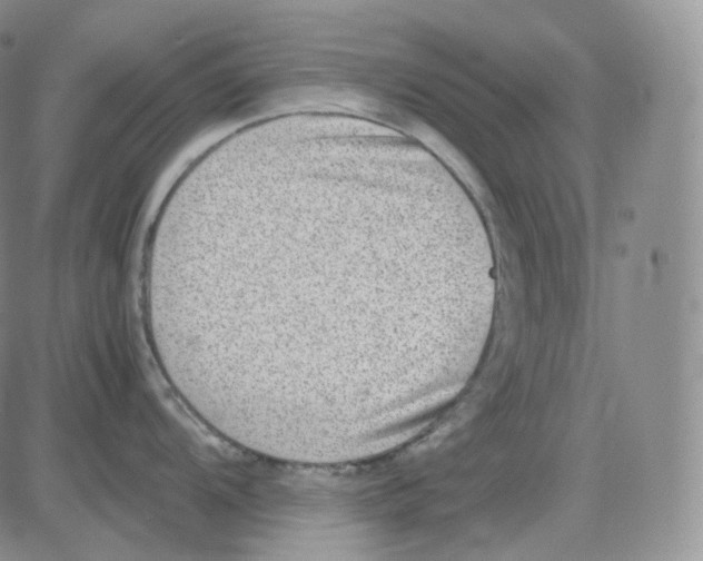 X0000082701104200702232224