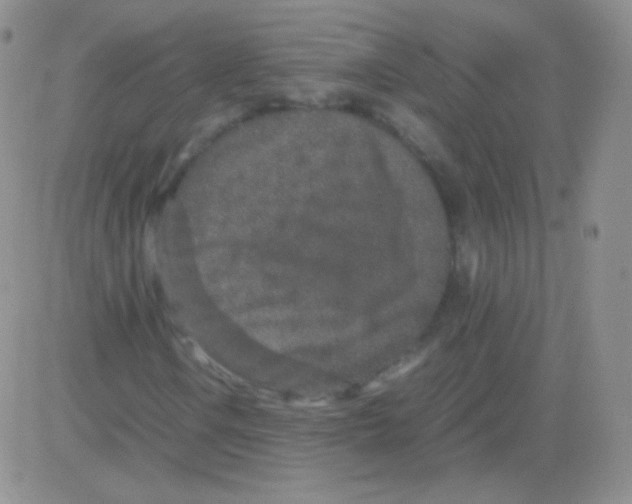 X0000082701106200702232223