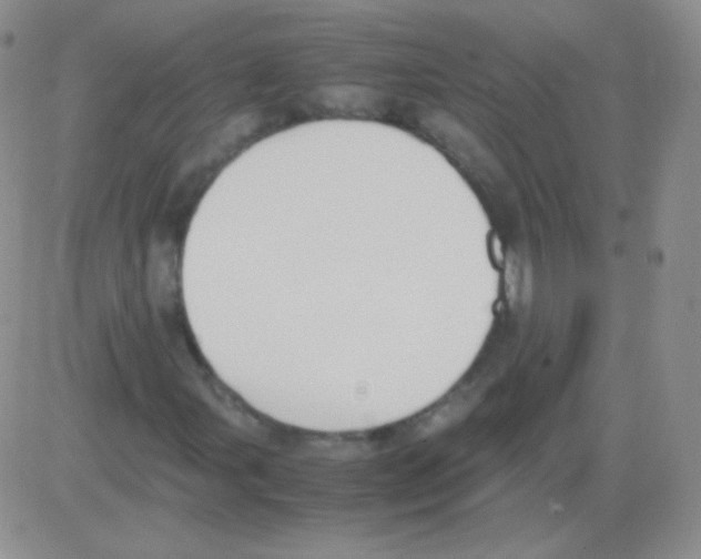 X0000082701107200702232223