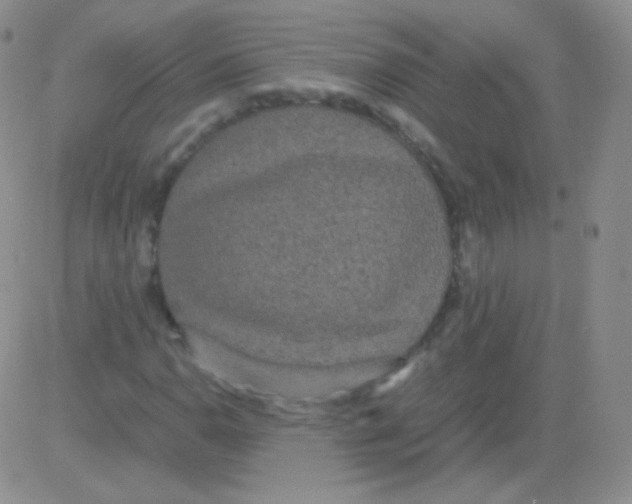 X0000082701110200702232223