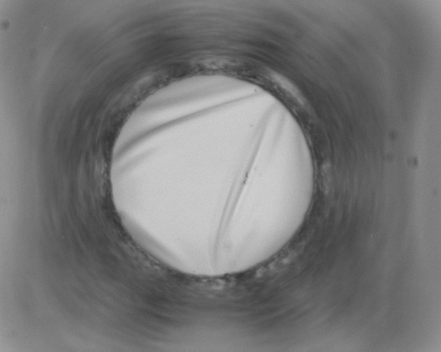 X0000082701111200702232223