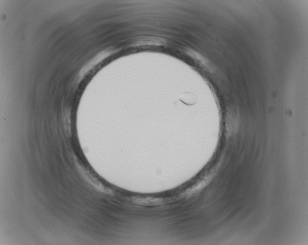 X0000082701113200702232223