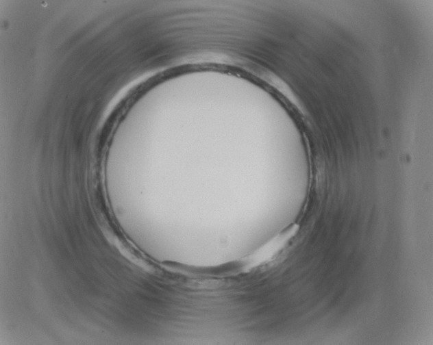 X0000082701116200702232223