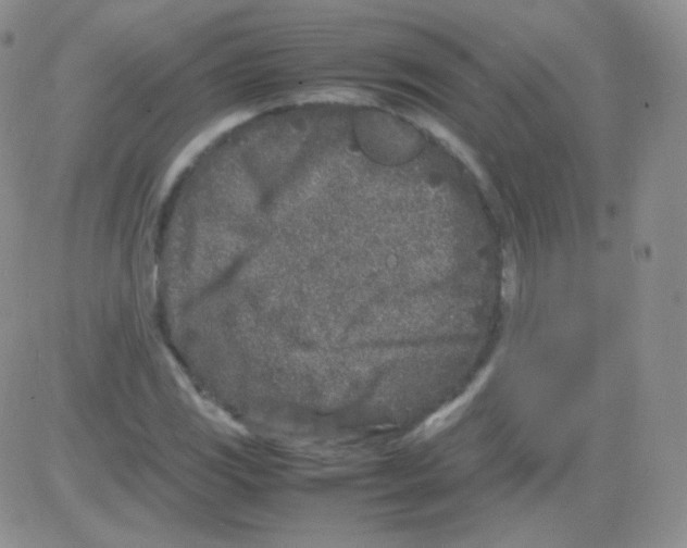 X0000082701117200702232223