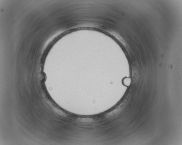 X0000082701119200702232223