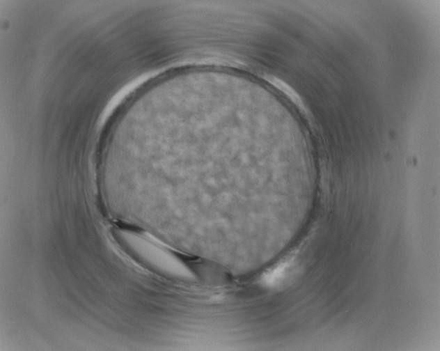 X0000082701120200702232223