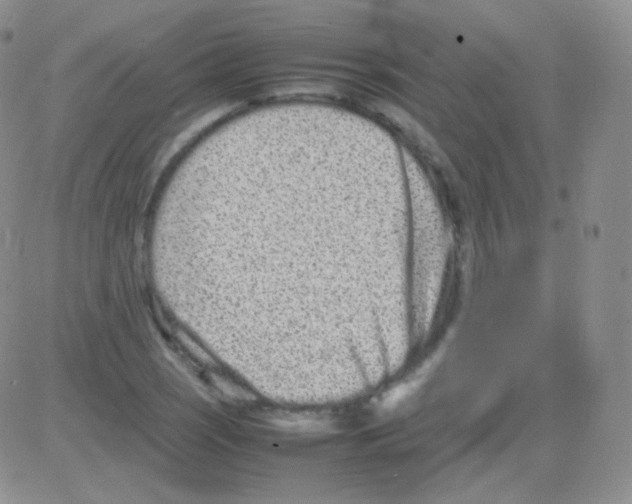 X0000082701121200702232223