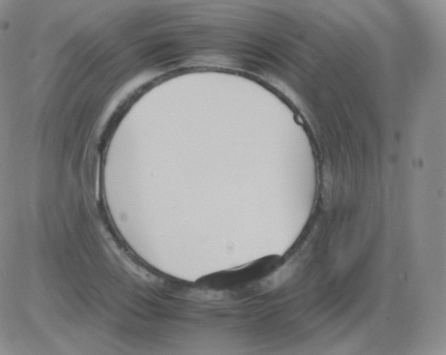 X0000082701123200702232223